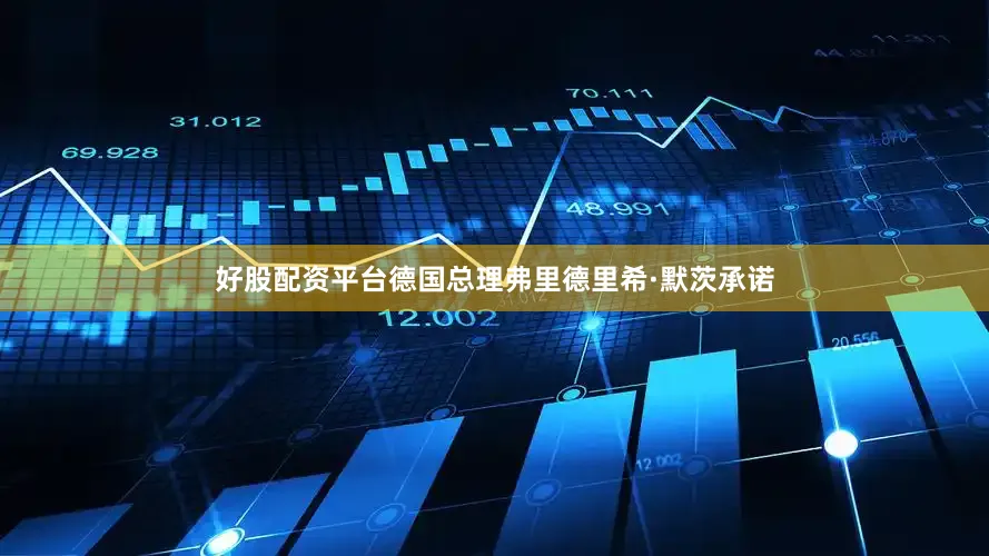 好股配资平台德国总理弗里德里希·默茨承诺