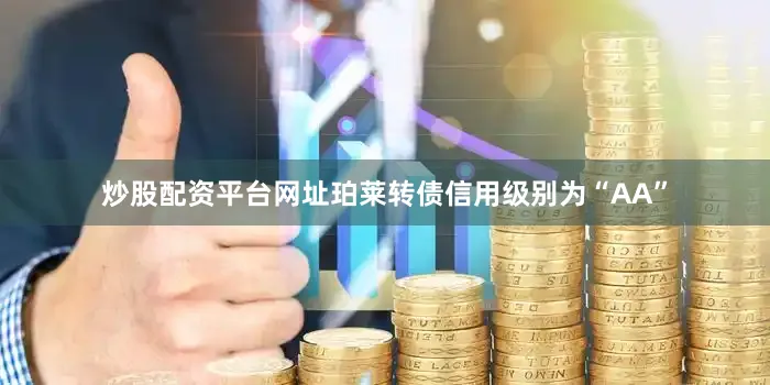 炒股配资平台网址珀莱转债信用级别为“AA”